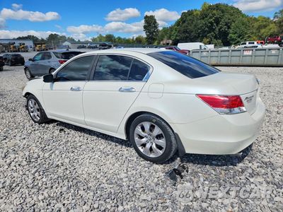 Drugie zdjęcie samochodu z przodu: 2009 HONDA ACCORD EXL VIN:1HGCP36879A048269 - miniatura