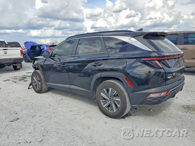 Drugie zdjęcie samochodu z przodu: 2022 HYUNDAI TUCSON BLUE VIN:KM8JBCA17NU022337 - miniatura