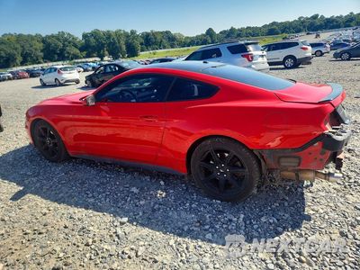 Drugie zdjęcie samochodu z przodu: 2019 FORD MUSTANG VIN:1FA6P8TH3K5132607 - miniatura