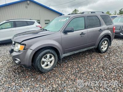 2011 FORD ESCAPE XLT 1FMCU0D78BKB48540 - główne zdjęcie licytacji z USA - miniatura