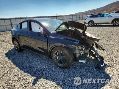 Czwarte zdjęcie samochodu z boku: 2026 TESLA MODEL Y VIN:7SAYGDEE6TF574203 - miniatura