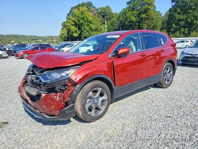 2019 HONDA CR-V EXL 5J6RW1H86KL005852 - główne zdjęcie licytacji z USA - miniatura