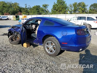 Drugie zdjęcie samochodu z przodu: 2014 FORD MUSTANG VIN:1ZVBP8AM9E5302351 - miniatura