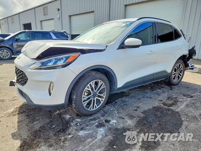 2020 FORD ESCAPE SEL 1FMCU0H67LUC62472 - główne zdjęcie licytacji z USA - miniatura