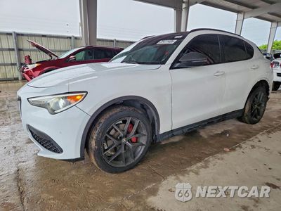 2019 ALFA ROMEO STELVIO TI ZASPAKBN3K7C50138 - główne zdjęcie licytacji z USA - miniatura