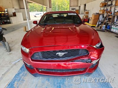 Piąte zdjęcie samochodu w środku: 2015 FORD MUSTANG VIN:1FA6P8TH9F5305259 - miniatura