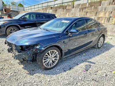 2019 TOYOTA CAMRY XLE 4T1B11HK4KU835916 - główne zdjęcie licytacji z USA - miniatura