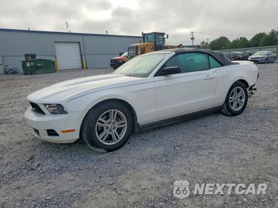2012 FORD MUSTANG 1ZVBP8EM8C5203544 - główne zdjęcie licytacji z USA - miniatura
