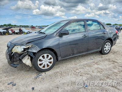 2009 TOYOTA COROLLA LE 2T1BU40E69C131324 - główne zdjęcie licytacji z USA - miniatura