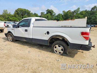 Drugie zdjęcie samochodu z przodu: 2013 FORD F150 VIN:1FTMF1CM7DKD13707 - miniatura