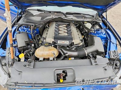 Zdjęcie 11 z 12 samochodu: 2017 FORD MUSTANG GT VIN:1FA6P8CF1H5344753 - miniatura