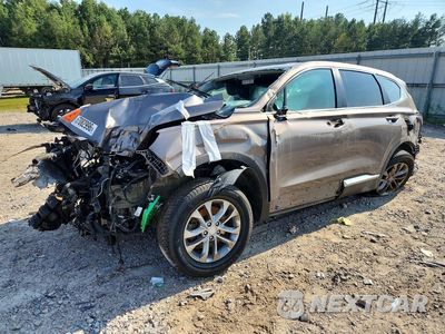 2019 HYUNDAI SANTA FE SE 5NMS2CAD8KH010929 - główne zdjęcie licytacji z USA - miniatura
