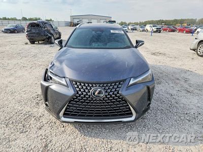Piąte zdjęcie samochodu w środku: 2025 LEXUS UX 300H PREMIUM VIN:JTHYBJAH0S2033982 - miniatura