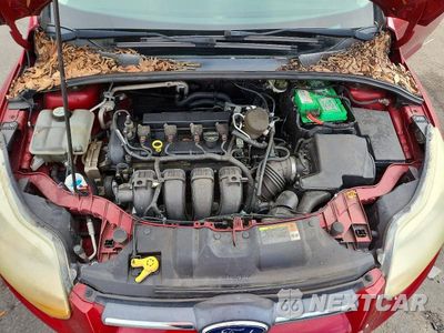 Zdjęcie 11 z 12 samochodu: 2013 FORD FOCUS SE VIN:1FADP3F25DL237455 - miniatura