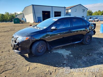 2009 TOYOTA COROLLA S 1NXBU40E99Z146527 - główne zdjęcie licytacji z USA - miniatura