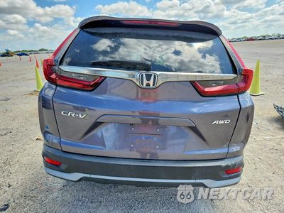 Zdjęcie 6 z 13 samochodu: 2020 HONDA CR-V EX VIN:7FARW2H50LE022026 - miniatura