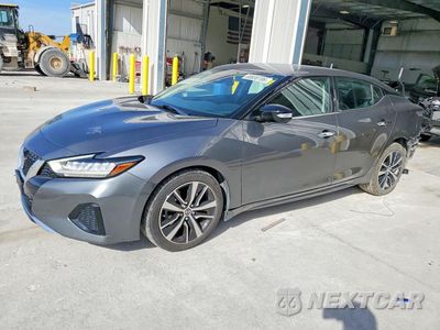 2021 NISSAN MAXIMA SV 1N4AA6CV4MC514603 - główne zdjęcie licytacji z USA - miniatura