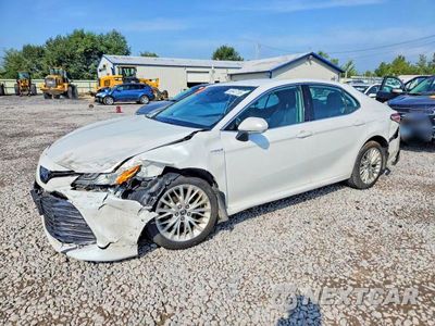 2020 TOYOTA CAMRY XLE 4T1F31AK8LU535531 - główne zdjęcie licytacji z USA - miniatura