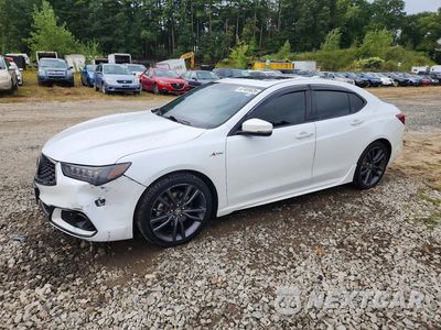 2019 ACURA TLX TECHNOLOGY 19UUB3F61KA000662 - główne zdjęcie licytacji z USA - miniatura