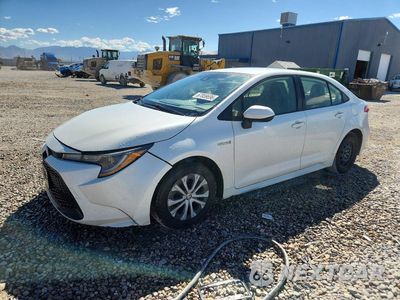 2020 TOYOTA COROLLA LE JTDEBRBE5LJ003147 - główne zdjęcie licytacji z USA - miniatura