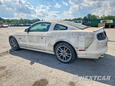 Drugie zdjęcie samochodu z przodu: 2013 FORD MUSTANG GT VIN:1ZVBP8CF4D5270485 - miniatura