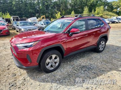 2024 TOYOTA RAV4 LE 2T3MWRFV1RW222546 - główne zdjęcie licytacji z USA - miniatura