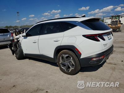 Drugie zdjęcie samochodu z przodu: 2024 HYUNDAI TUCSON LIMITED VIN:5NMJECDE8RH411947 - miniatura