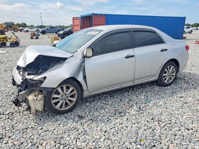 2009 TOYOTA COROLLA LE 2T1BU40E79C023150 - główne zdjęcie licytacji z USA - miniatura