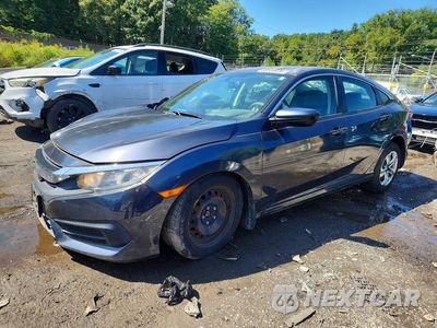 2017 HONDA CIVIC LX 2HGFC2F58HH561393 - główne zdjęcie licytacji z USA - miniatura