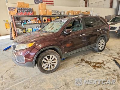 2011 KIA SORENTO LX 5XYKTDA20BG089900 - główne zdjęcie licytacji z USA - miniatura