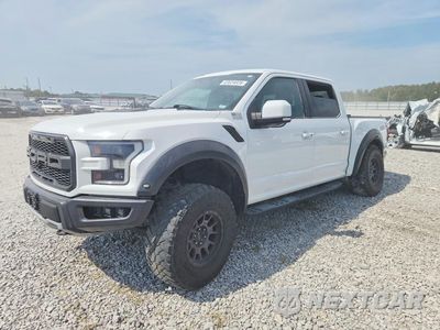 2017 FORD F150 RAPTOR 1FTFW1RG0HFB60001 - główne zdjęcie licytacji z USA - miniatura