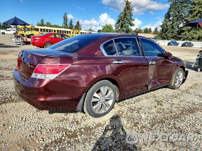 Trzecie zdjęcie samochodu z tyłu: 2010 HONDA ACCORD EXL VIN:5KBCP3F8XAB011955 - miniatura