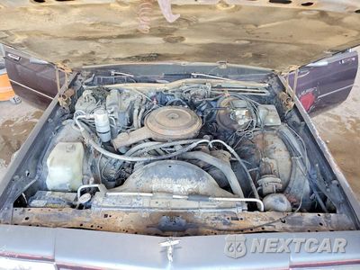 Zdjęcie 11 z 12 samochodu: 1988 CHEVROLET CAPRICE VIN:1G1BL51H6JA101209 - miniatura
