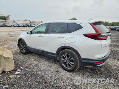 Drugie zdjęcie samochodu z przodu: 2020 HONDA CR-V EX VIN:5J6RW1H55LA008177 - miniatura