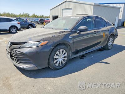 2019 TOYOTA CAMRY LE 4T1B31HK7KU516701 - główne zdjęcie licytacji z USA - miniatura