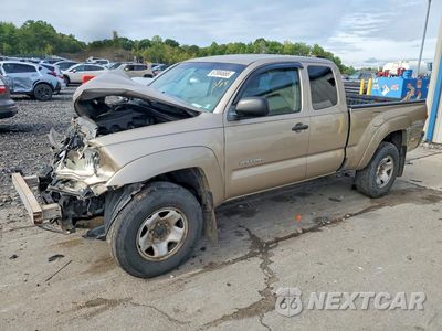 2008 TOYOTA TACOMA V6 5TEUU42N38Z556613 - główne zdjęcie licytacji z USA - miniatura