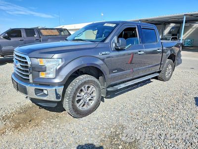 2015 FORD F150 SUPERCREW 1FTEW1EP2FFA79886 - główne zdjęcie licytacji z USA - miniatura