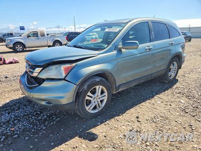 2010 HONDA CR-V EXL 5J6RE4H73AL099599 - główne zdjęcie licytacji z USA - miniatura