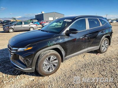 2023 HYUNDAI TUCSON BLUE KM8JBCA15PU121452 - główne zdjęcie licytacji z USA - miniatura
