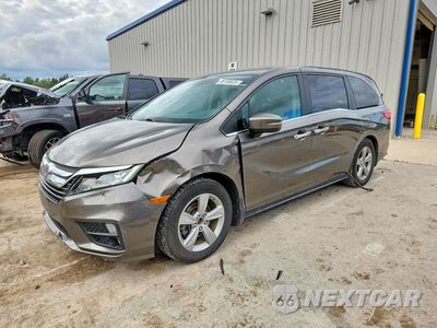 2019 HONDA ODYSSEY EXL 5FNRL6H79KB019136 - główne zdjęcie licytacji z USA - miniatura