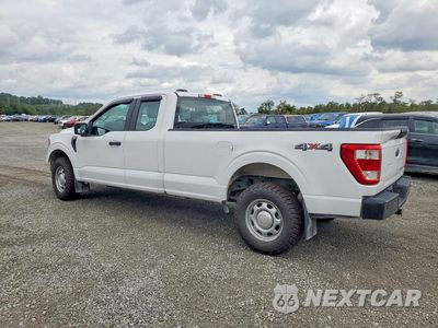 Drugie zdjęcie samochodu z przodu: 2021 FORD F150 SUPER CAB VIN:1FTFX1E88MKE66019 - miniatura