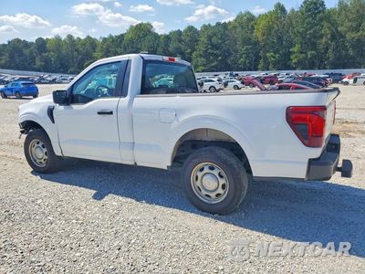 Drugie zdjęcie samochodu z przodu: 2024 FORD F150 XL VIN:1FTMF1K5XRKD18952 - miniatura