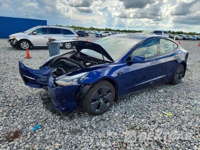 2023 TESLA MODEL 3 5YJ3E1EA1PF581154 - główne zdjęcie licytacji z USA - miniatura