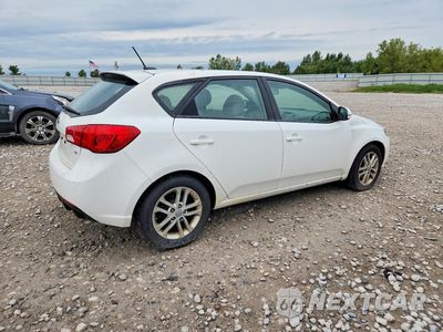 Trzecie zdjęcie samochodu z tyłu: 2012 KIA FORTE5 EX VIN:KNAFU5A29C5481107 - miniatura