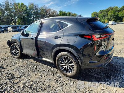 Drugie zdjęcie samochodu z przodu: 2023 LEXUS NX 350H VIN:JTJAKCEZ5P5006779 - miniatura