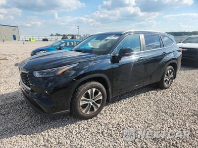 2026 TOYOTA HIGHLANDER XLE 5TDKDRBH4TS600333 - główne zdjęcie licytacji z USA - miniatura