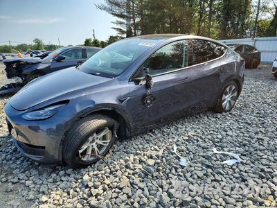 2023 TESLA MODEL Y 7SAYGAEE4PF844193 - główne zdjęcie licytacji z USA - miniatura