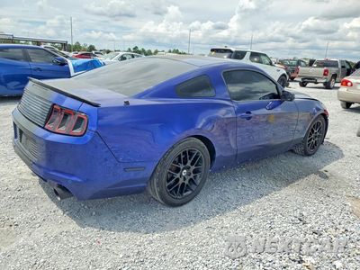 Trzecie zdjęcie samochodu z tyłu: 2014 FORD MUSTANG VIN:1ZVBP8AM8E5308710 - miniatura