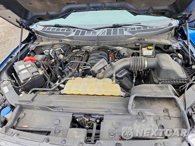 Zdjęcie 11 z 12 samochodu: 2021 FORD F150 SUPERCREW VIN:1FTFW1E50MFB33685 - miniatura