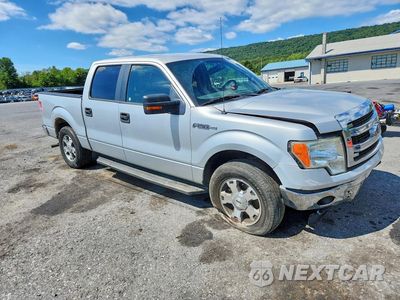 Czwarte zdjęcie samochodu z boku: 2013 FORD F150 SUPERCREW VIN:1FTEW1CM6DKD61770 - miniatura